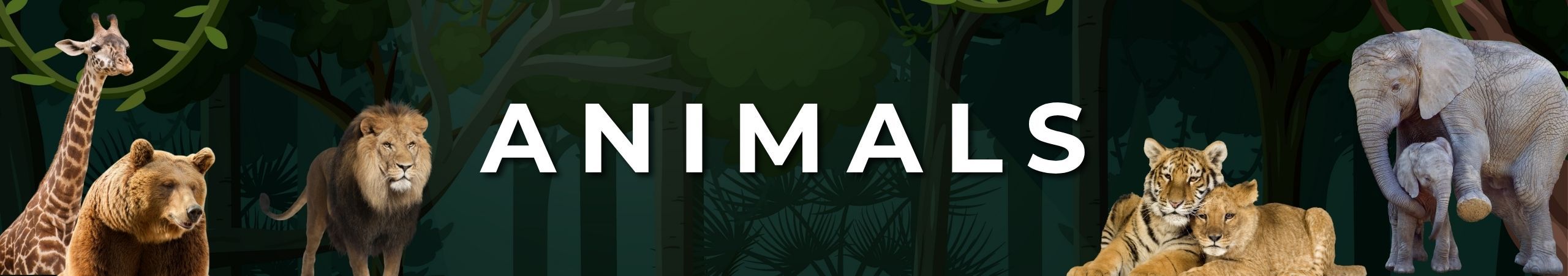 website20header20-20animals__PID:a00db881-ac2f-4aac-8166-cb31b752fbfb