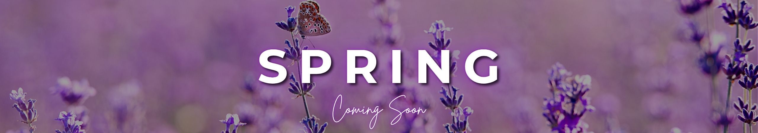 website20header20-20s1-spring__PID:303da216-abbd-461d-ae01-c506c9c1e99b